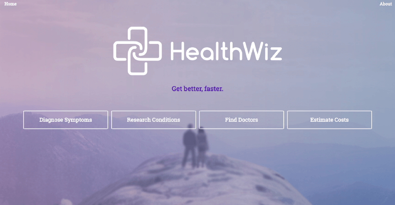 HEALTHWIZ SaaS company