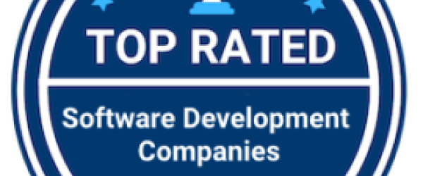 Belitsoft is Among Top 20+ Custom Software Development Companies