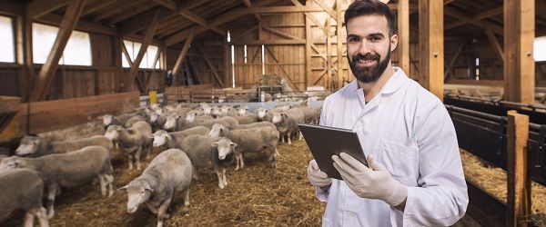 Veterinary Management Software Development
