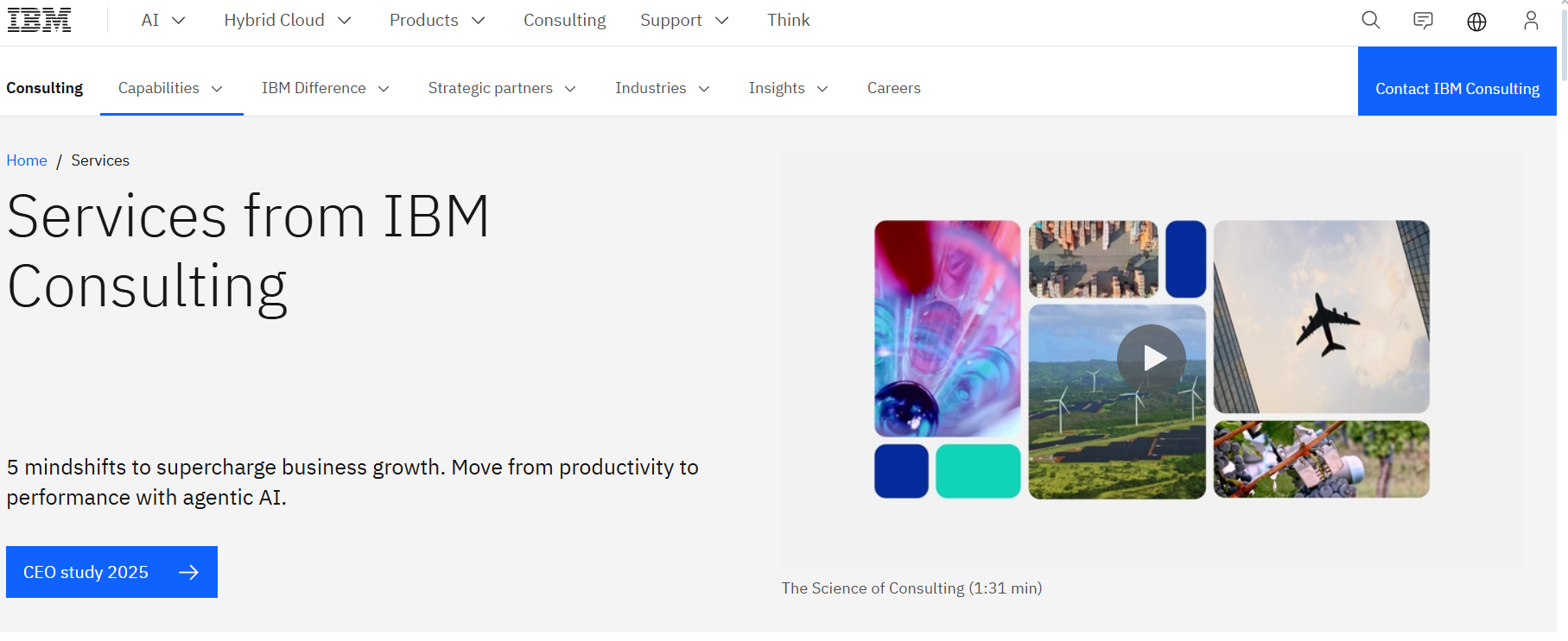 IBM
