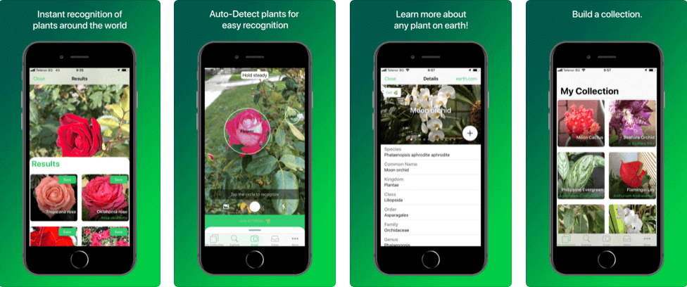 PlantSnap Pro: Identify Plants